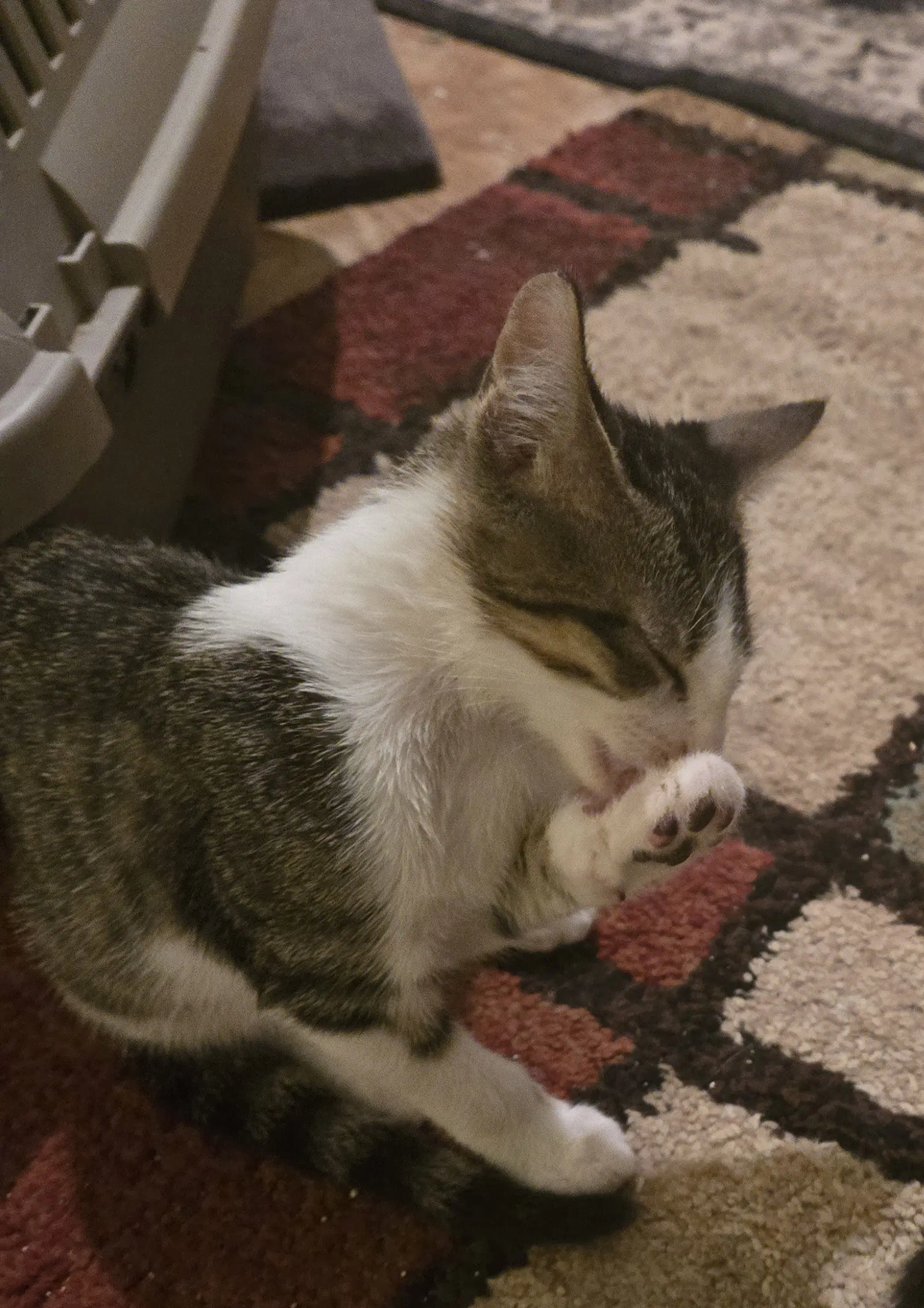 Tater Tot image 3
