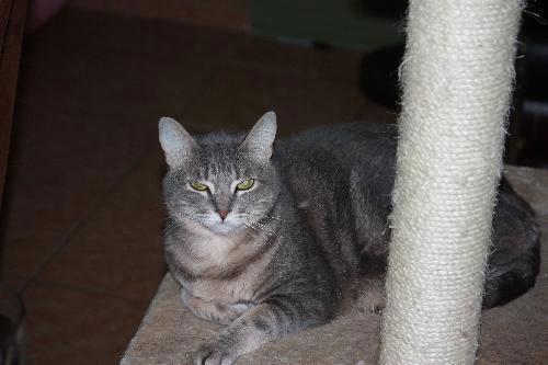 MIA