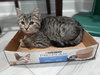 Lucy - Photo 4