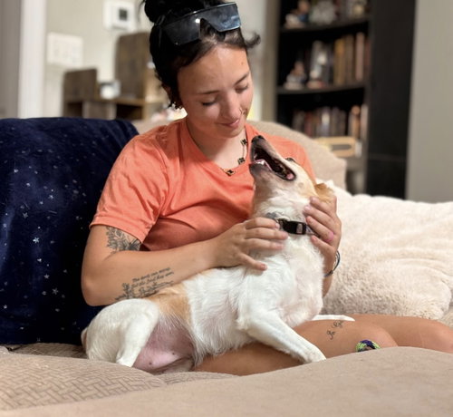 Paris, an adoptable Jack Russell Terrier in Sykesville, MD
