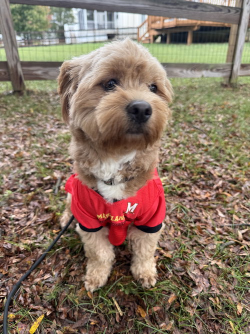 Photo 2 of Winston