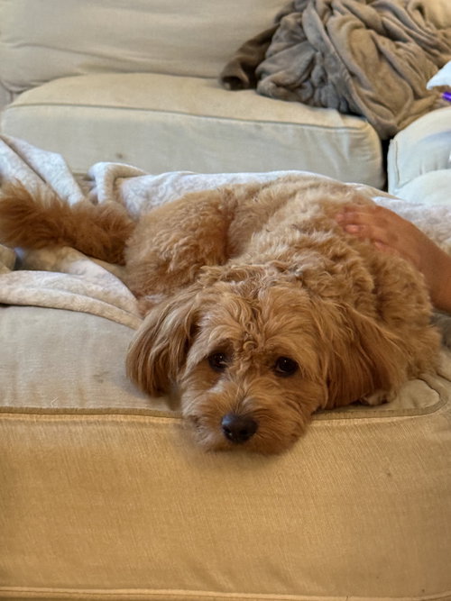 Photo 3 of Winston