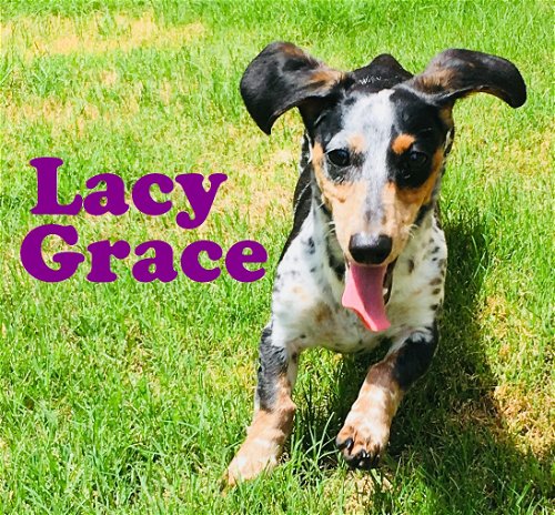 Lacy Grace