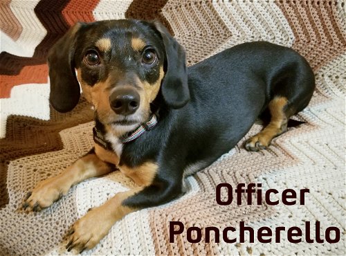 Officer Poncherello