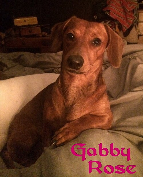 Gabby Rose