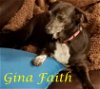 Gina Faith