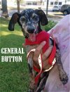 General Button