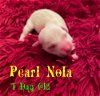 Pearl Nola
