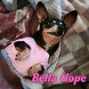 Bella Hope Diamond