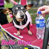Bella Hope Diamond