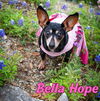 Bella Hope Diamond