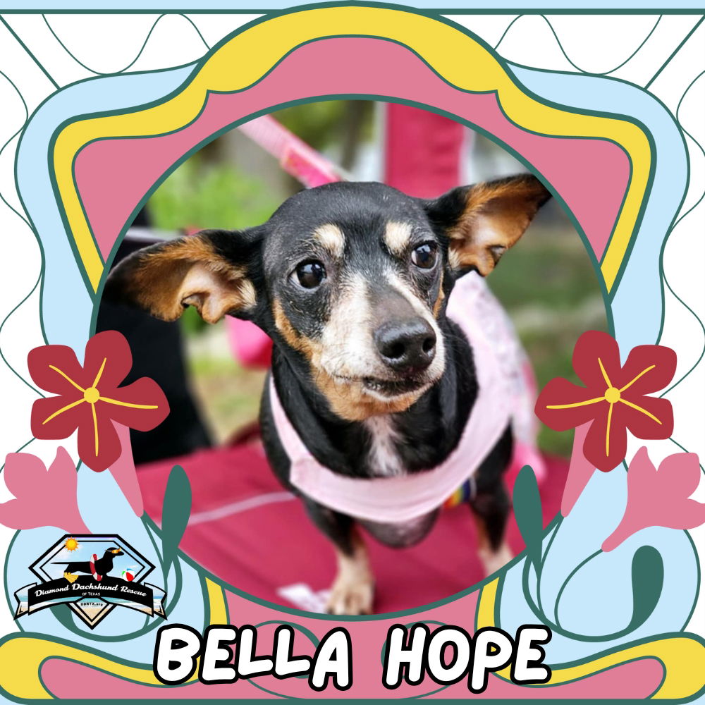 Bella Hope Diamond