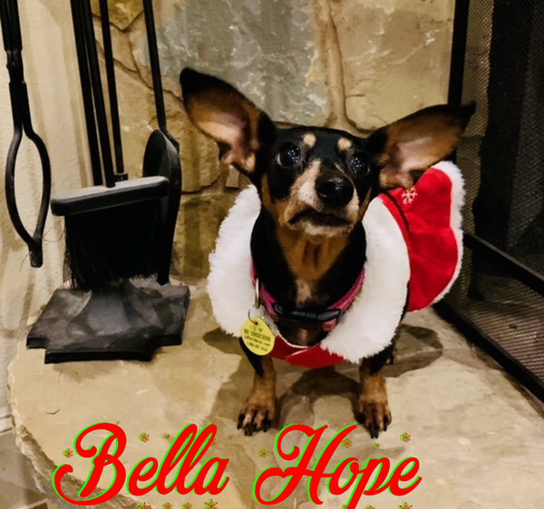 Bella Hope Diamond