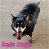 Bella Hope Diamond
