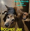 Boomer Jax