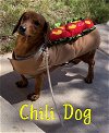 Chili Dog Diesel