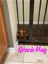 Gracie May