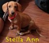 Stella Ann