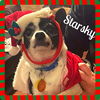 Starsky