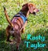 Rusty Taylor