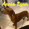 Annie Lynn