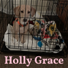 Holly Grace