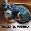 Wicket W. Warrick