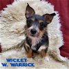 Wicket W. Warrick