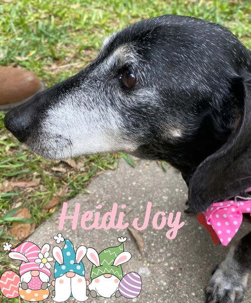 Heidi Joy