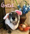 Gretel