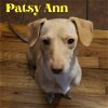 Patsy Ann