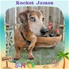 Rocket James