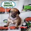 Emily Engine