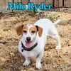 Milo Ryder