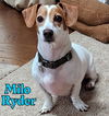 Milo Ryder