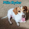 Milo Ryder