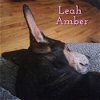 Leah Amber