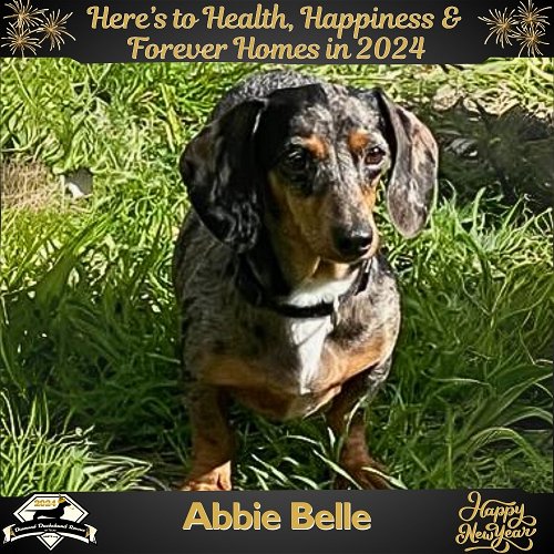 Abbie Belle