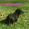 Flo Gemma