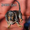 Bonnie Gale