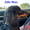 Odin Mars
