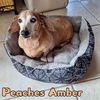 Peaches Amber