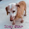 Zoey Star