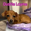 Dustie Layne