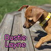 Dustie Layne
