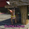 Dustie Layne