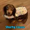 Shorty Cocoa