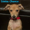 Simba Chance