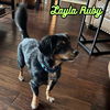 Layla Ruby