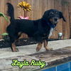 Layla Ruby